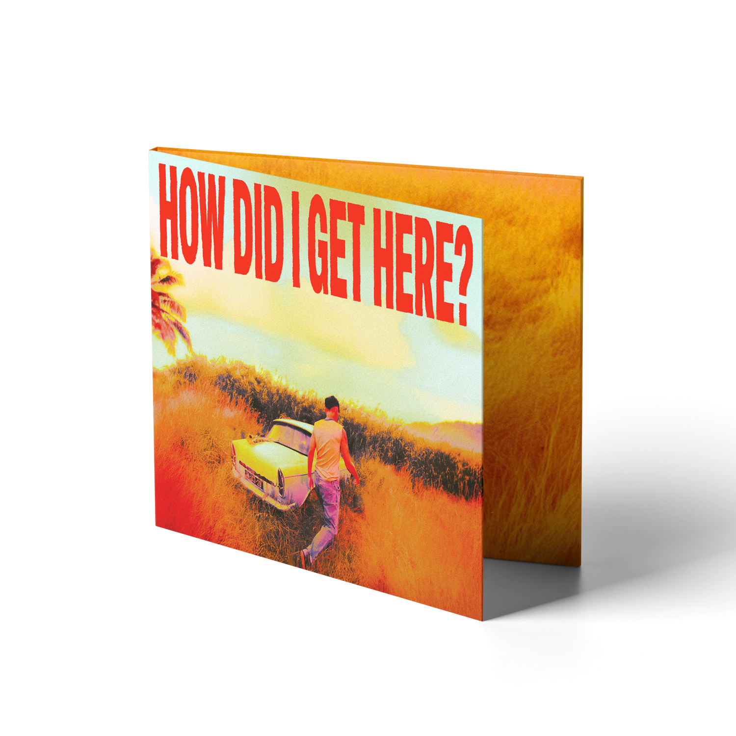 Louis Tomlinson How Did I Get Here? CD 426360